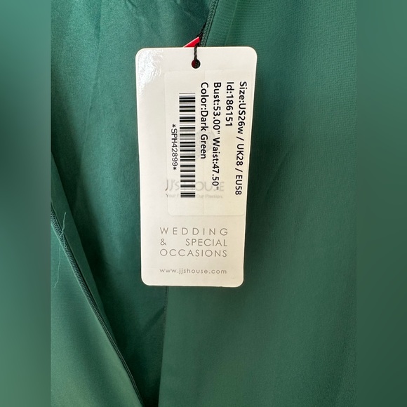 Sheath/Column scoop neck floor length Chiffon Hunter Green - Picture 8 of 14